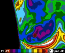 Thermal Scan